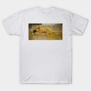 Girl in Yellow Drapery by John William Godward T-Shirt